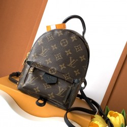 Louis Vuitton Palm Springs Mini Bag M44873