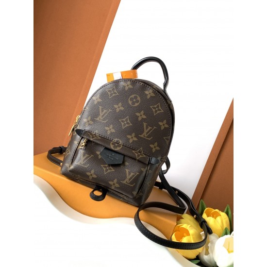 Louis Vuitton Palm Springs Mini Bag M44873