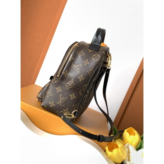 Louis Vuitton Palm Springs Mini Bag M44873