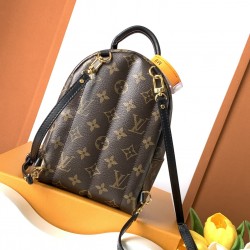 Louis Vuitton Palm Springs Mini Bag M44873