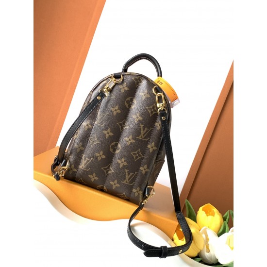 Louis Vuitton Palm Springs Mini Bag M44873