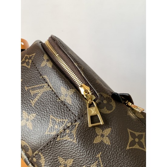 Louis Vuitton Palm Springs Mini Bag M44873