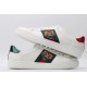 GUCCI ACE SNEAKER